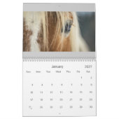 Pferdekalender Kalender (Jan 2027)