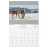 Pferdekalender Kalender (Feb 2027)
