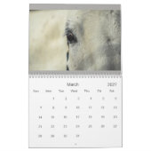 Pferdekalender Kalender (Mär 2027)