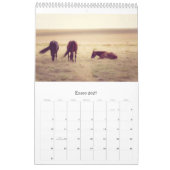 Pferdekalender... Kalender (Jan 2027)