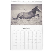 Pferdekalender... Kalender (Mär 2027)