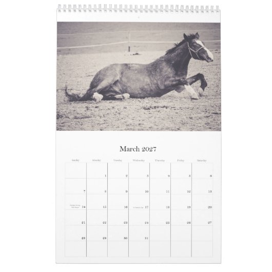 Pferdekalender... Kalender (Mär 2027)