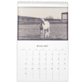 Pferdekalender... Kalender (Feb 2027)