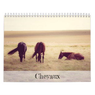 Pferdekalender Kalender