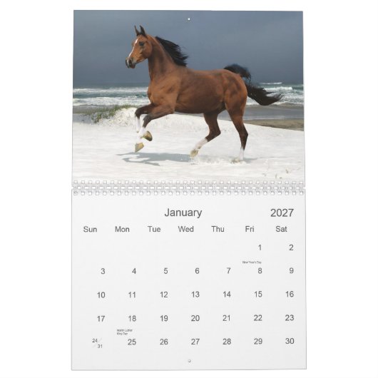 Pferdekalender Kalender (Jan 2027)