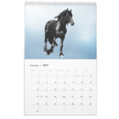 Pferdekalender Kalender (Jan 2027)