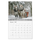 Pferdekalender Kalender (Feb 2027)