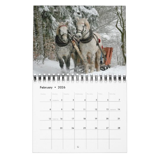 Pferdekalender Kalender (Feb 2026)