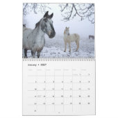 Pferdekalender Kalender (Jan 2027)