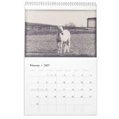 Pferdekalender... Kalender (Feb 2027)
