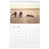 Pferdekalender... Kalender (Jan 2027)