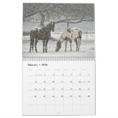 Pferdekalender Kalender (Feb 2026)