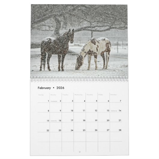 Pferdekalender Kalender (Feb 2026)