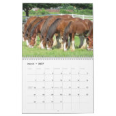 Pferdekalender Kalender (Mär 2027)