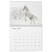 Pferdekalender Kalender (Jan 2027)