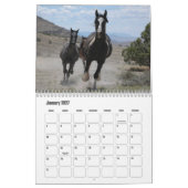 Pferdekalender Kalender (Jan 2027)