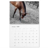 Pferdekalender Kalender (Jan 2027)