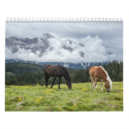 Pferdekalender Kalender (Titelbild)