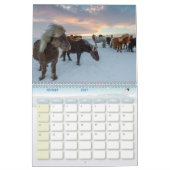 Pferdekalender Kalender (Feb 2027)