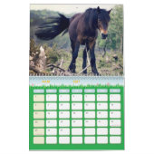 Pferdekalender Kalender (Mär 2027)