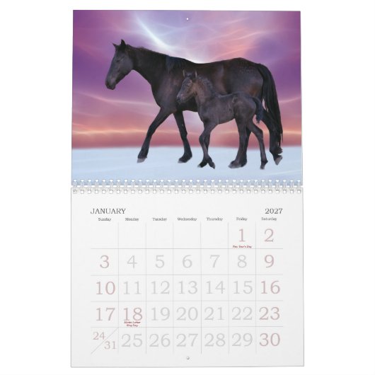 Pferdekalender Kalender (Jan 2027)