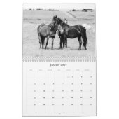 Pferdekalender Kalender (Jan 2027)