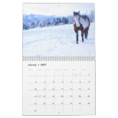 Pferdekalender Kalender (Jan 2027)