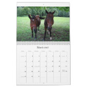 Pferdekalender Kalender (Mär 2027)