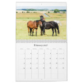 Pferdekalender Kalender (Feb 2027)