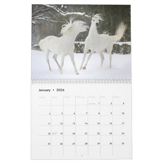 Pferdekalender Kalender (Jan 2026)