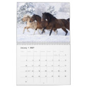 Pferdekalender Kalender (Jan 2027)