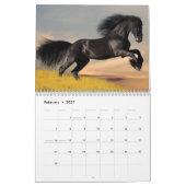 Pferdekalender Kalender (Feb 2027)