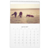 Pferdekalender... Kalender (Jan 2027)