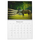 Pferdekalender Kalender (Feb 2027)