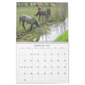 Pferdekalender Kalender (Feb 2027)