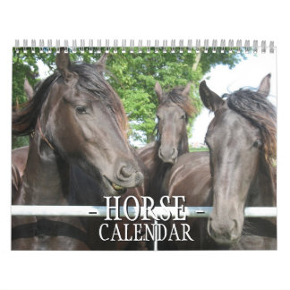 Pferdekalender Kalender
