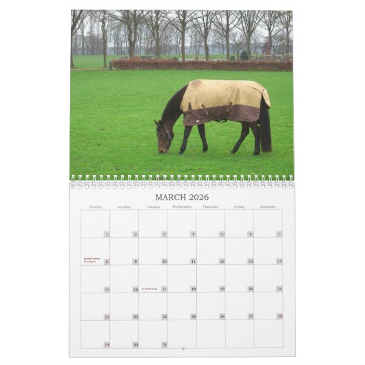 Pferdekalender Kalender (Mär 2026)