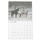 Pferdekalender Kalender (Jan 2027)