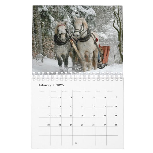 Pferdekalender Kalender (Feb 2026)