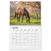 Pferdekalender Kalender (Mär 2027)