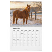 Pferdekalender Kalender (Feb 2027)