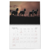 Pferdekalender Kalender (Feb 2027)