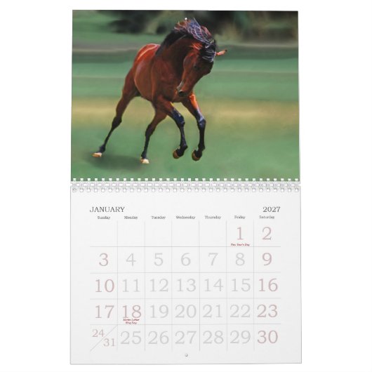 Pferdekalender Kalender (Jan 2027)