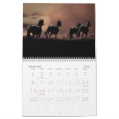 Pferdekalender Kalender (Feb 2026)