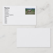 Pferdekarte Visitenkarte (Vorne/Hinten)