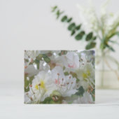 Pferdekastanie Blossom Postkarte (Stehend Vorderseite)