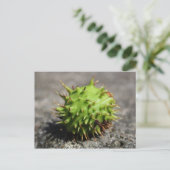 Pferdekastanie iPhone Postkarte (Stehend Vorderseite)