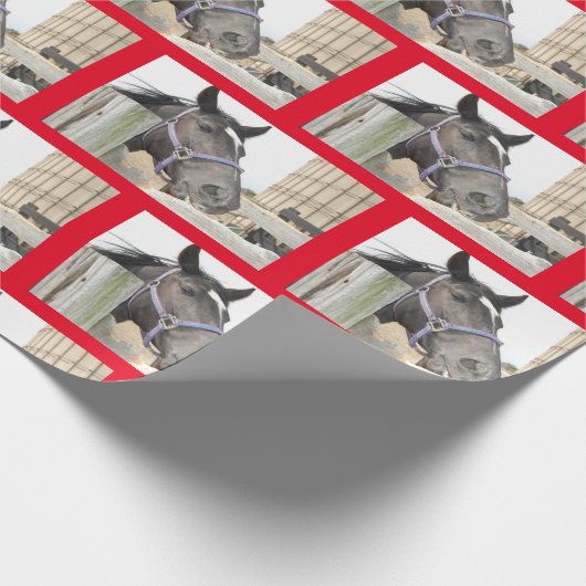 Pferdekauen auf einem Zaun Geschenkpapier (Ecke)