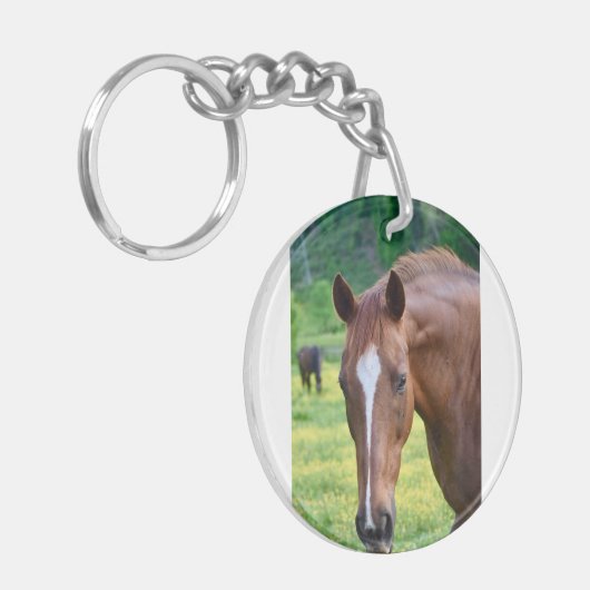 Pferdekette Schlüsselanhänger (Vorderseite links)