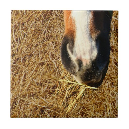 Pferdekeule Fliese (Vorderseite)